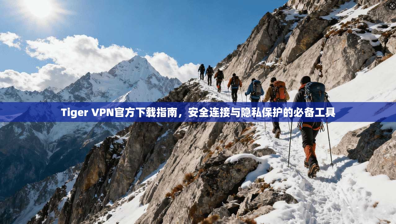 Tiger VPN官方下载指南，安全连接与隐私保护的必备工具  第1张