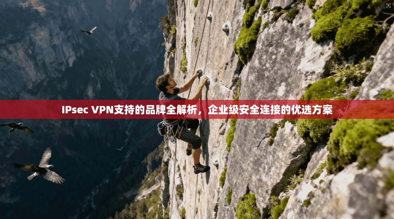 IPsec VPN支持的品牌全解析,企业级安全连接的优选方案 第1张 IPsec VPN支持的品牌全解析,企业级安全连接的优选方案 第1张