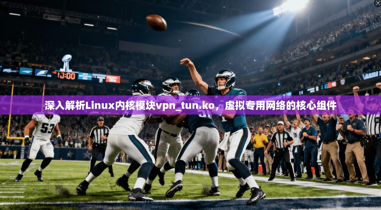 深入解析Linux内核模块vpn_tun.ko,虚拟专用网络的核心组件 第1张 深入解析Linux内核模块vpn_tun.ko,虚拟专用网络的核心组件 第1张