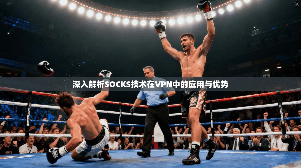 深入解析SOCKS技术在VPN中的应用与优势  第1张