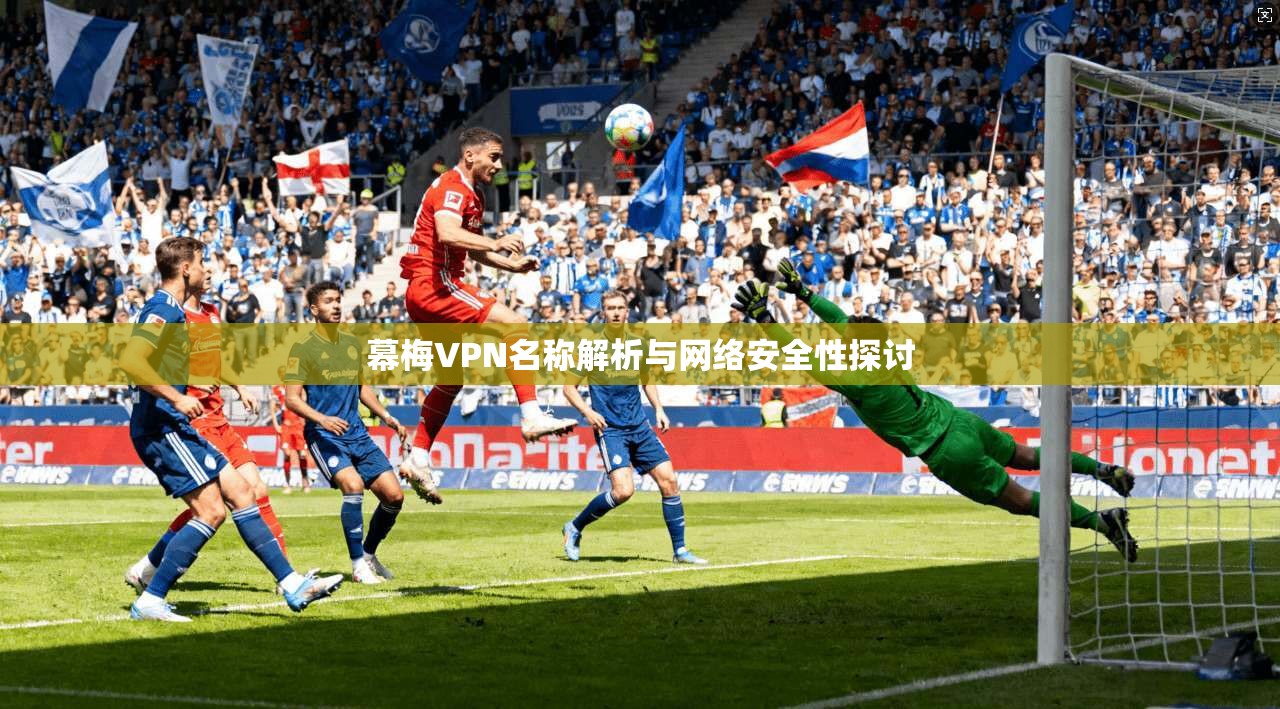 幕梅VPN名称解析与网络安全性探讨  第1张