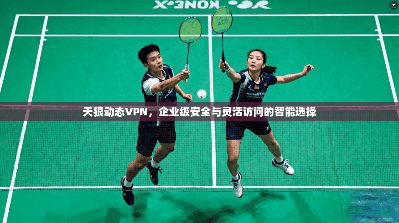 天狼动态VPN，企业级安全与灵活访问的智能选择  第1张