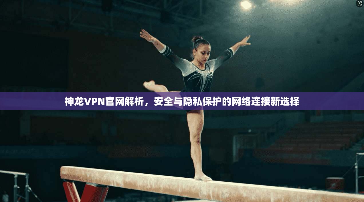神龙VPN官网解析，安全与隐私保护的网络连接新选择  第1张