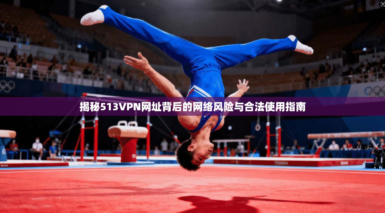 揭秘513VPN网址背后的网络风险与合法使用指南 第1张 揭秘513VPN网址背后的网络风险与合法使用指南 第1张
