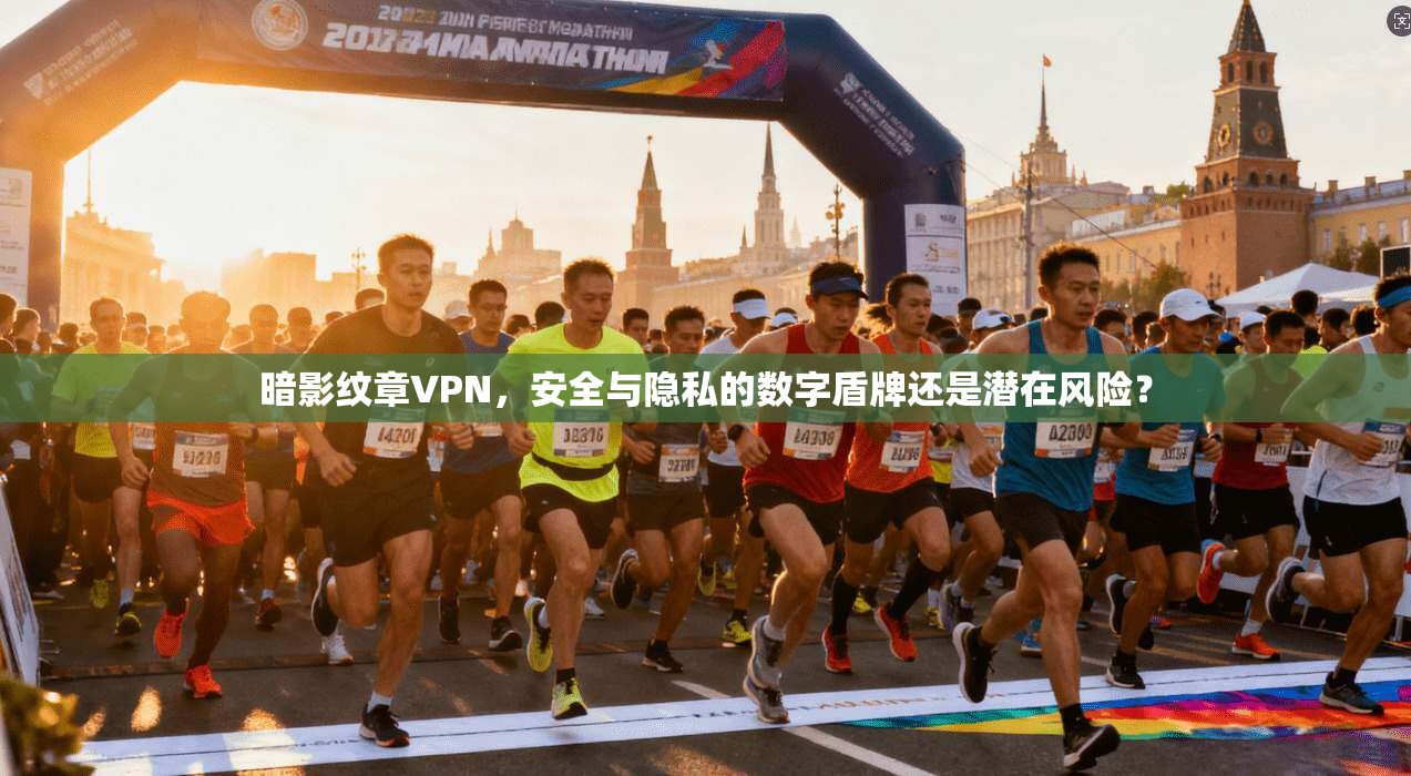 暗影纹章VPN，安全与隐私的数字盾牌还是潜在风险？  第1张