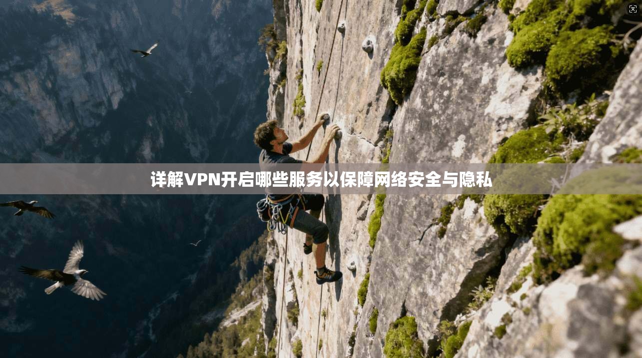 详解VPN开启哪些服务以保障网络安全与隐私  第1张