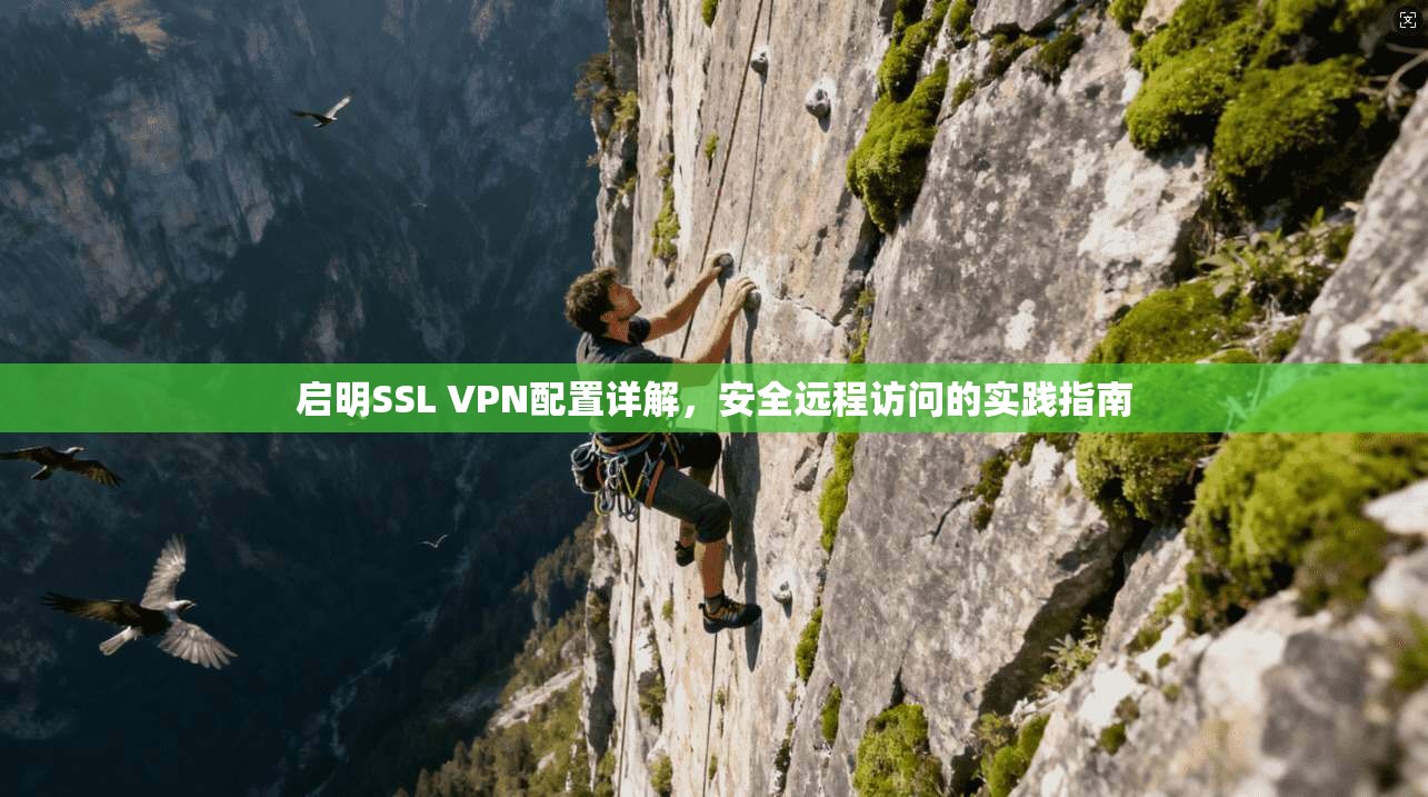 启明SSL VPN配置详解,安全远程访问的实践指南 第1张 启明SSL VPN配置详解,安全远程访问的实践指南 第1张