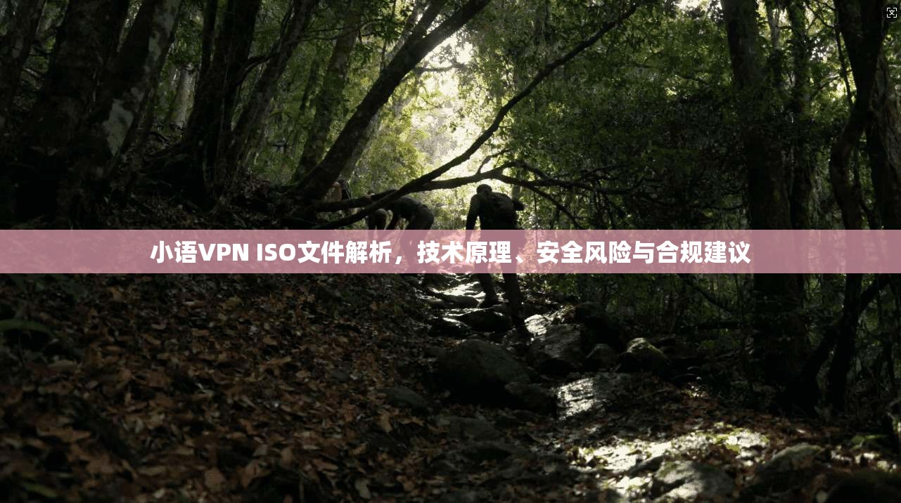 小语VPN ISO文件解析，技术原理、安全风险与合规建议  第1张