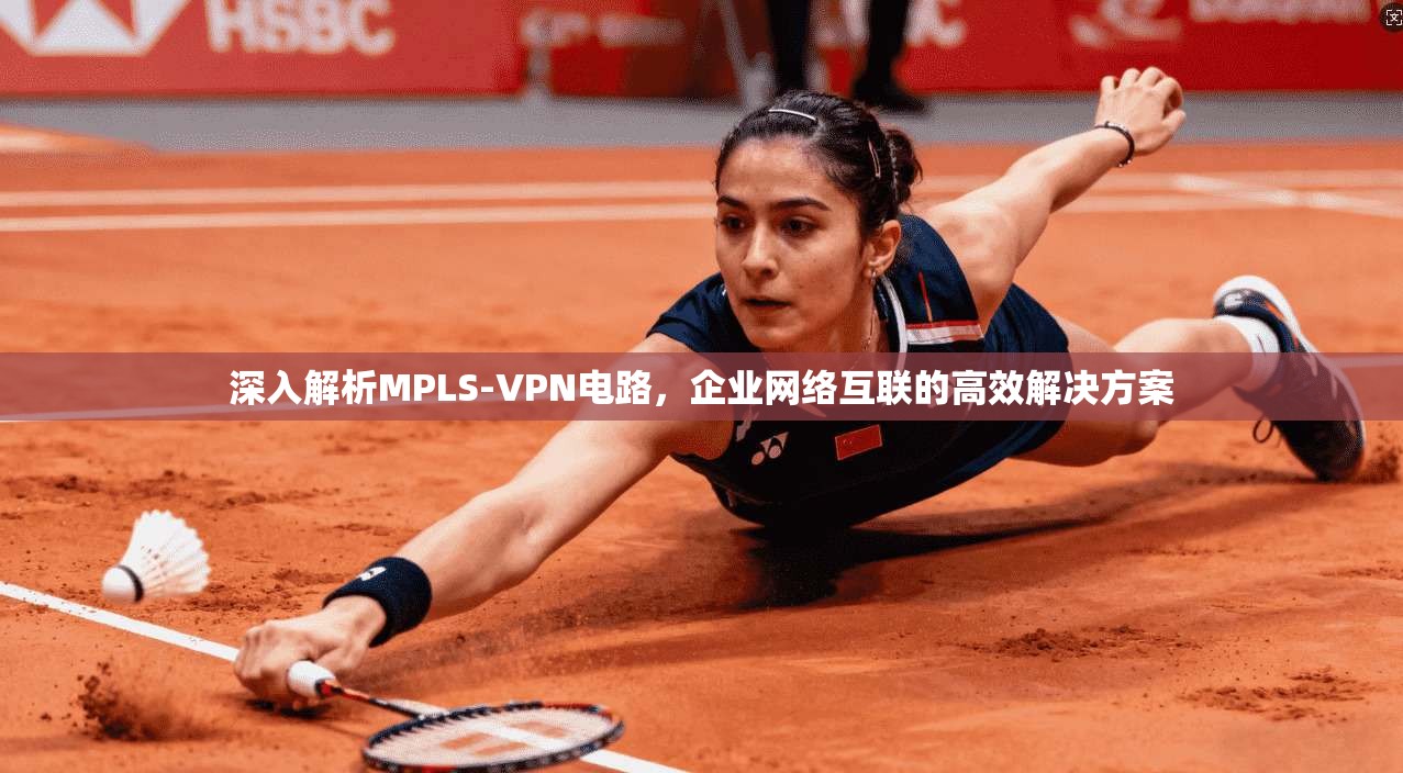 深入解析MPLS-VPN电路，企业网络互联的高效解决方案  第1张