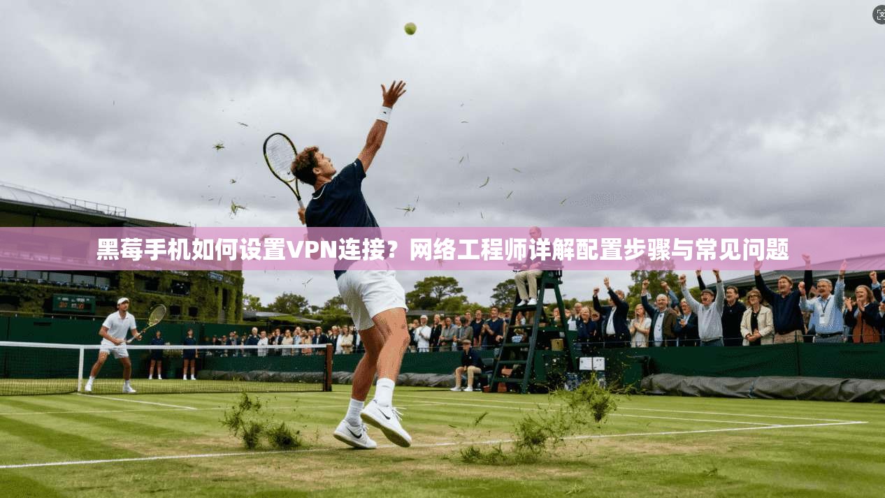 黑莓手机如何设置VPN连接?网络工程师详解配置步骤与常见问题 第1张 黑莓手机如何设置VPN连接?网络工程师详解配置步骤与常见问题 第1张