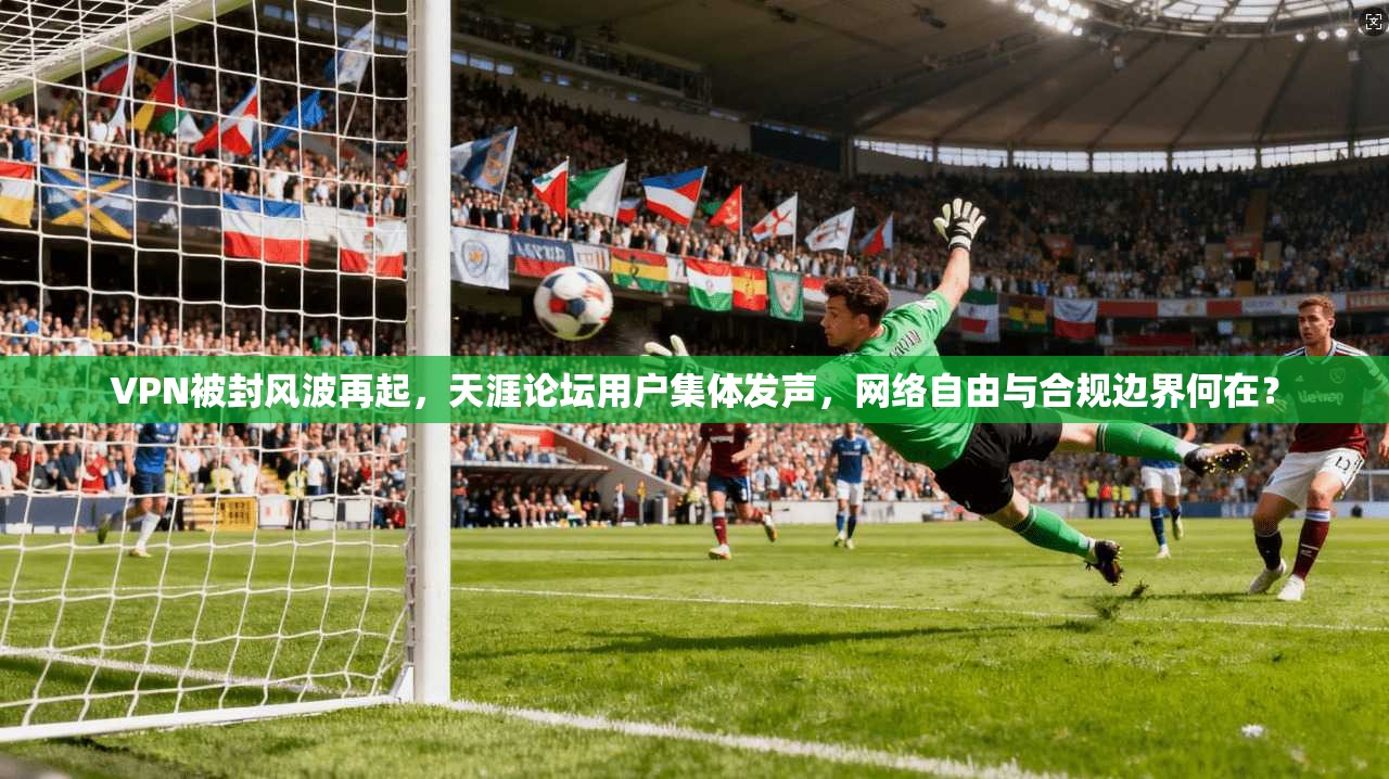 VPN被封风波再起,天涯论坛用户集体发声,网络自由与合规边界何在? 第1张 VPN被封风波再起,天涯论坛用户集体发声,网络自由与合规边界何在? 第1张