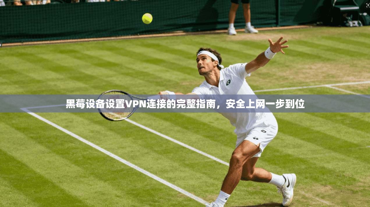 黑莓设备设置VPN连接的完整指南，安全上网一步到位  第1张