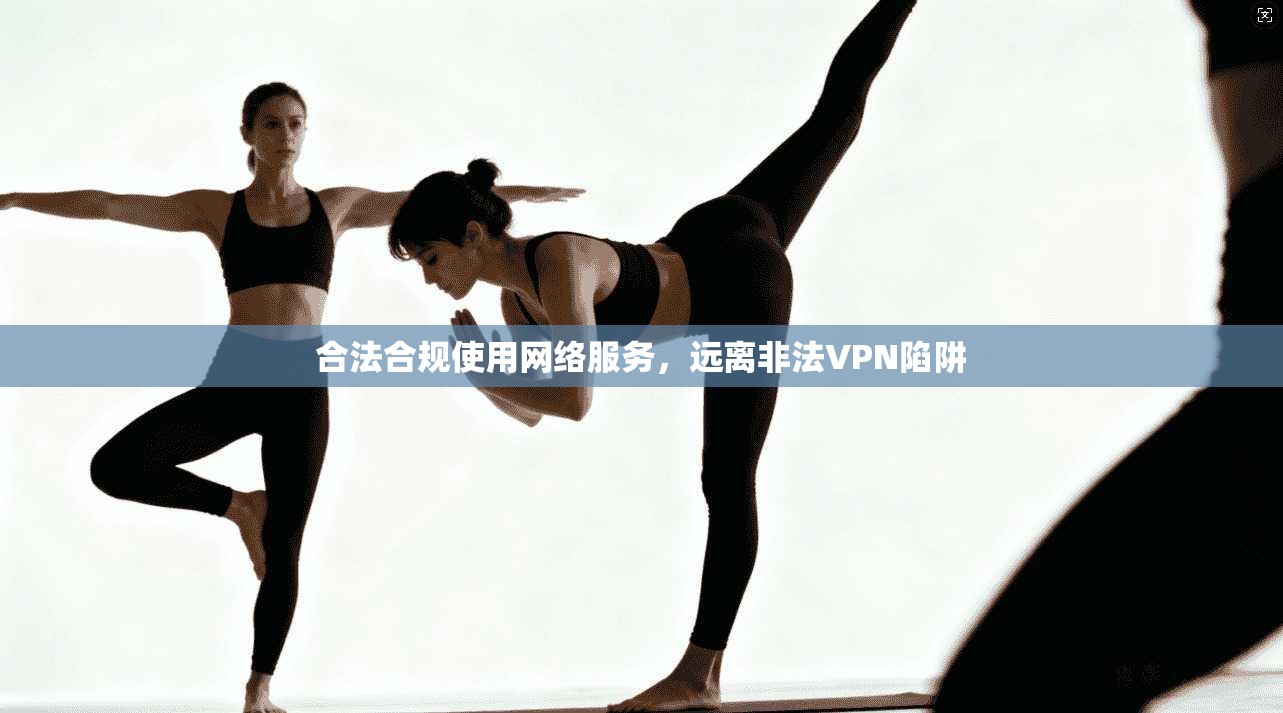 合法合规使用网络服务,远离非法VPN陷阱 第1张 合法合规使用网络服务,远离非法VPN陷阱 第1张