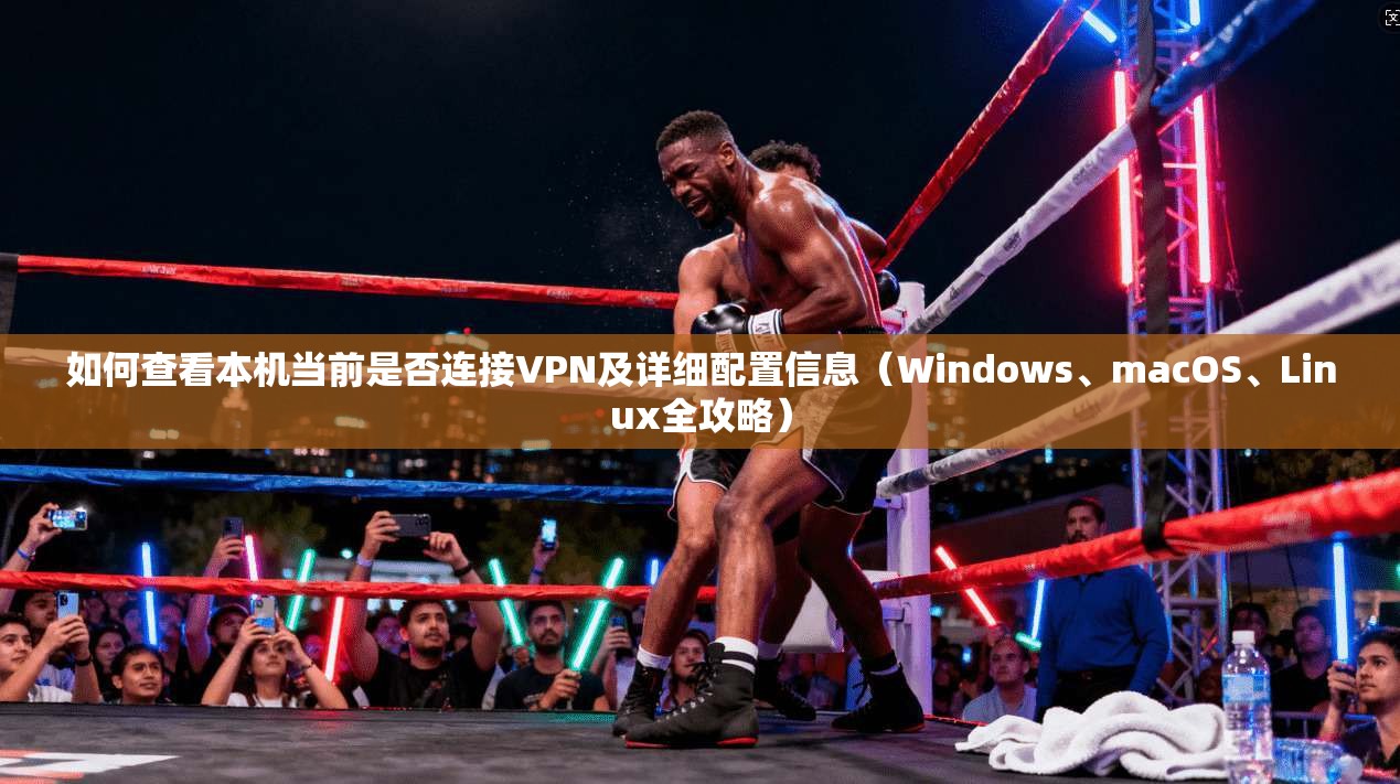 如何查看本机当前是否连接VPN及详细配置信息(Windows、macOS、Linux全攻略) 第1张 如何查看本机当前是否连接VPN及详细配置信息(Windows、macOS、Linux全攻略) 第1张