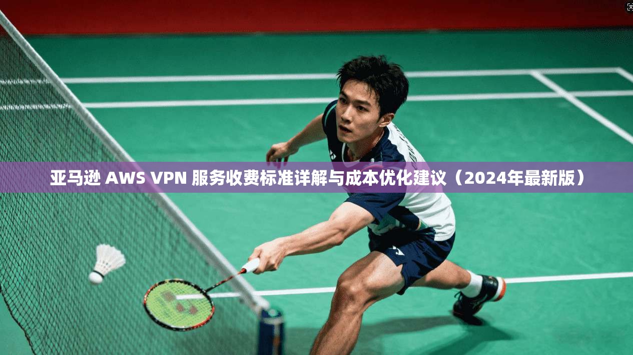 亚马逊 AWS VPN 服务收费标准详解与成本优化建议（2024年最新版）  第1张