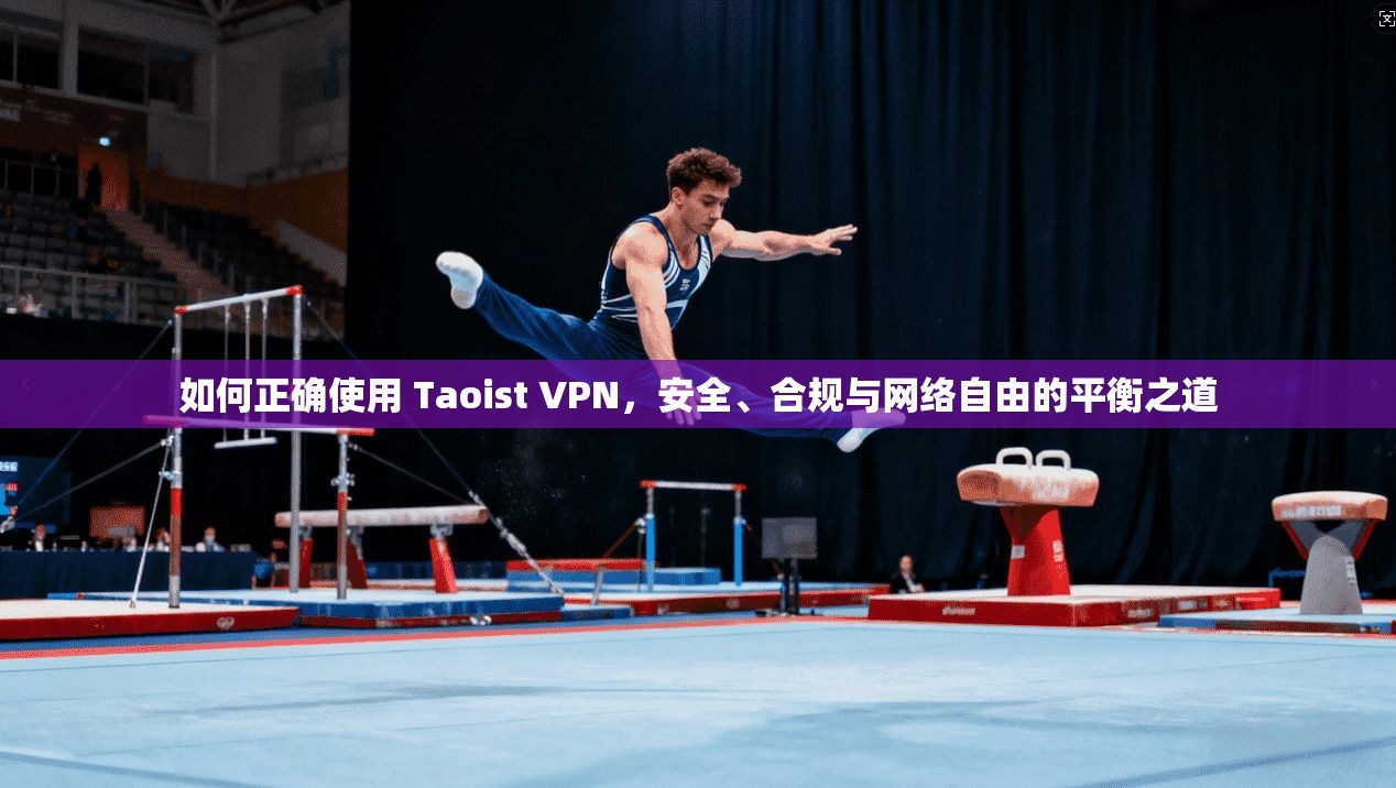 如何正确使用 Taoist VPN，安全、合规与网络自由的平衡之道  第1张