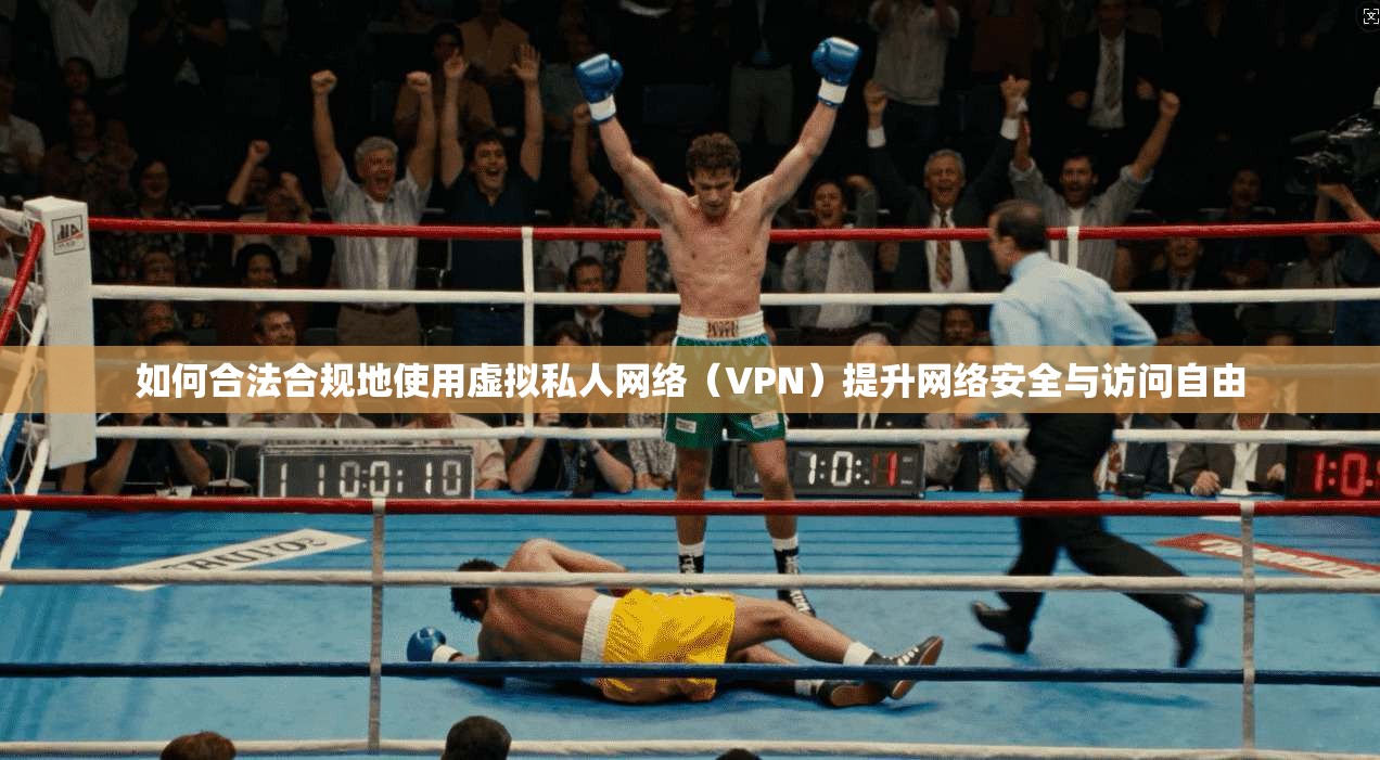如何合法合规地使用虚拟私人网络（VPN）提升网络安全与访问自由  第1张