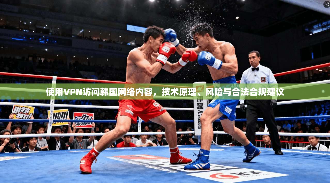 使用VPN访问韩国网络内容，技术原理、风险与合法合规建议  第1张