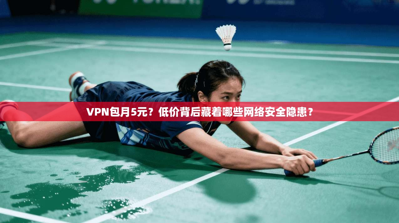 VPN包月5元?低价背后藏着哪些网络安全隐患? 第1张 VPN包月5元?低价背后藏着哪些网络安全隐患? 第1张
