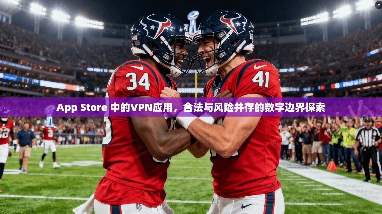 App Store 中的VPN应用，合法与风险并存的数字边界探索  第1张