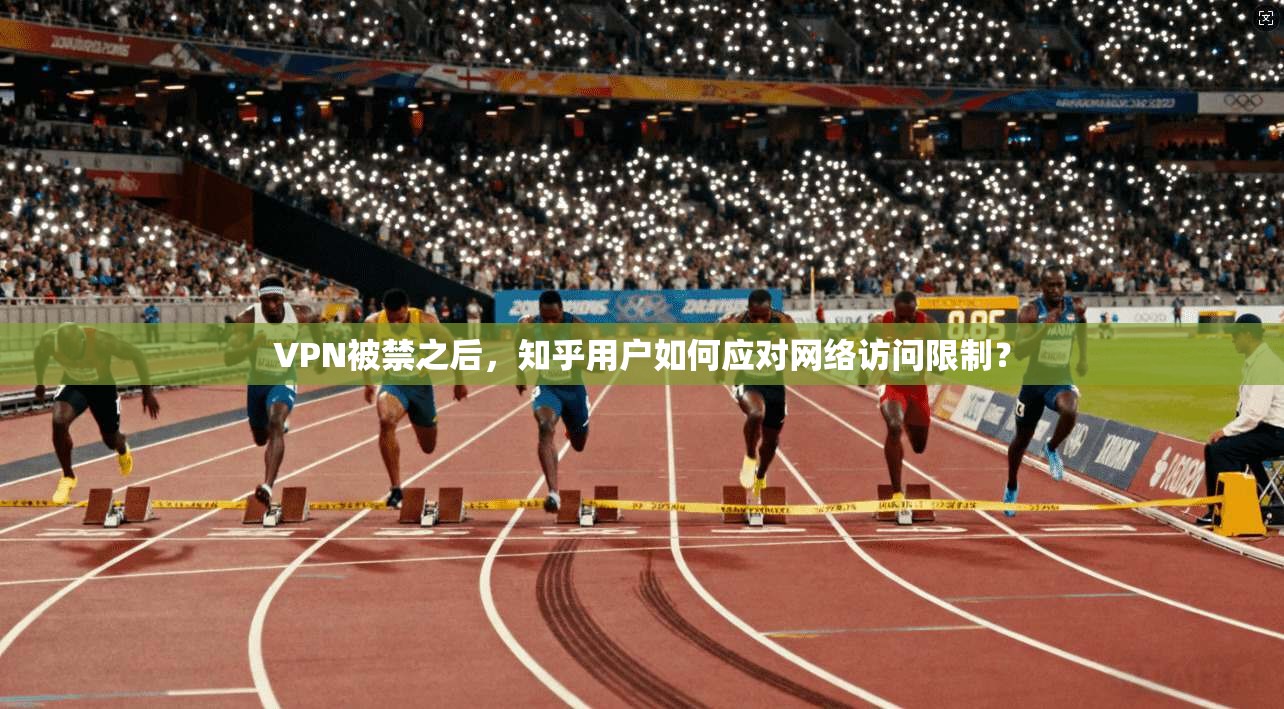 VPN被禁之后，知乎用户如何应对网络访问限制？  第1张
