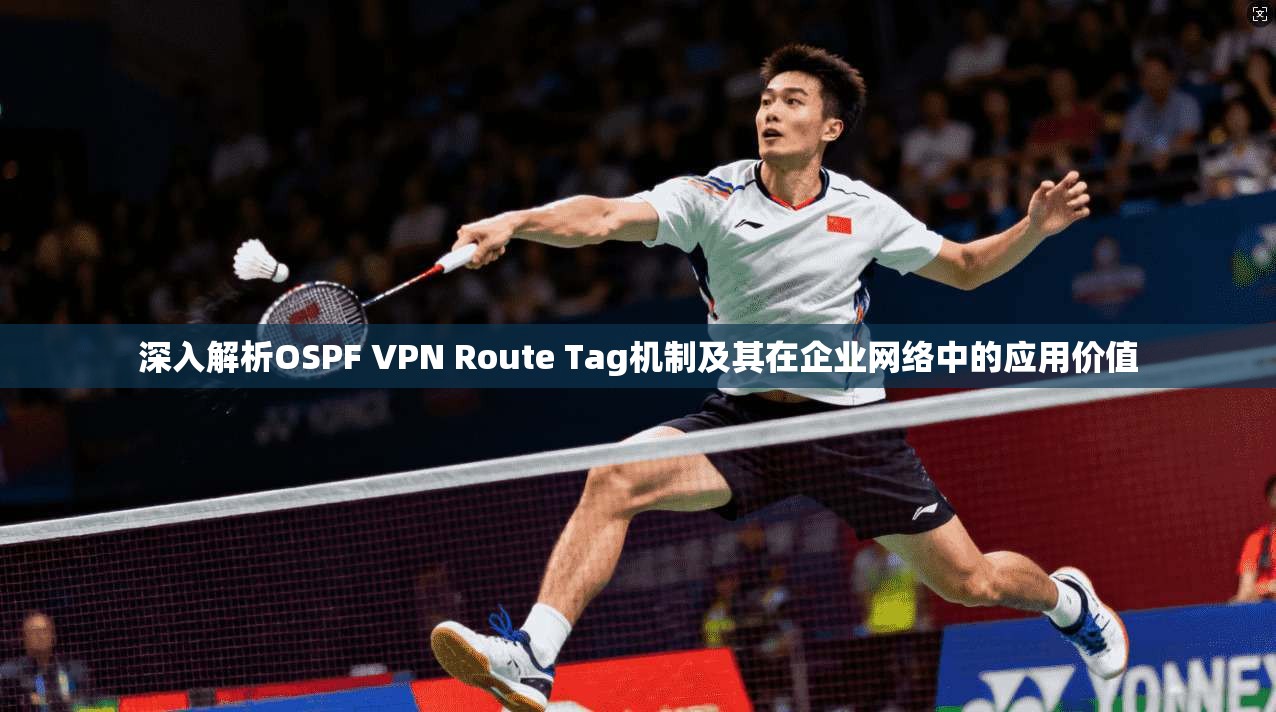 深入解析OSPF VPN Route Tag机制及其在企业网络中的应用价值  第1张