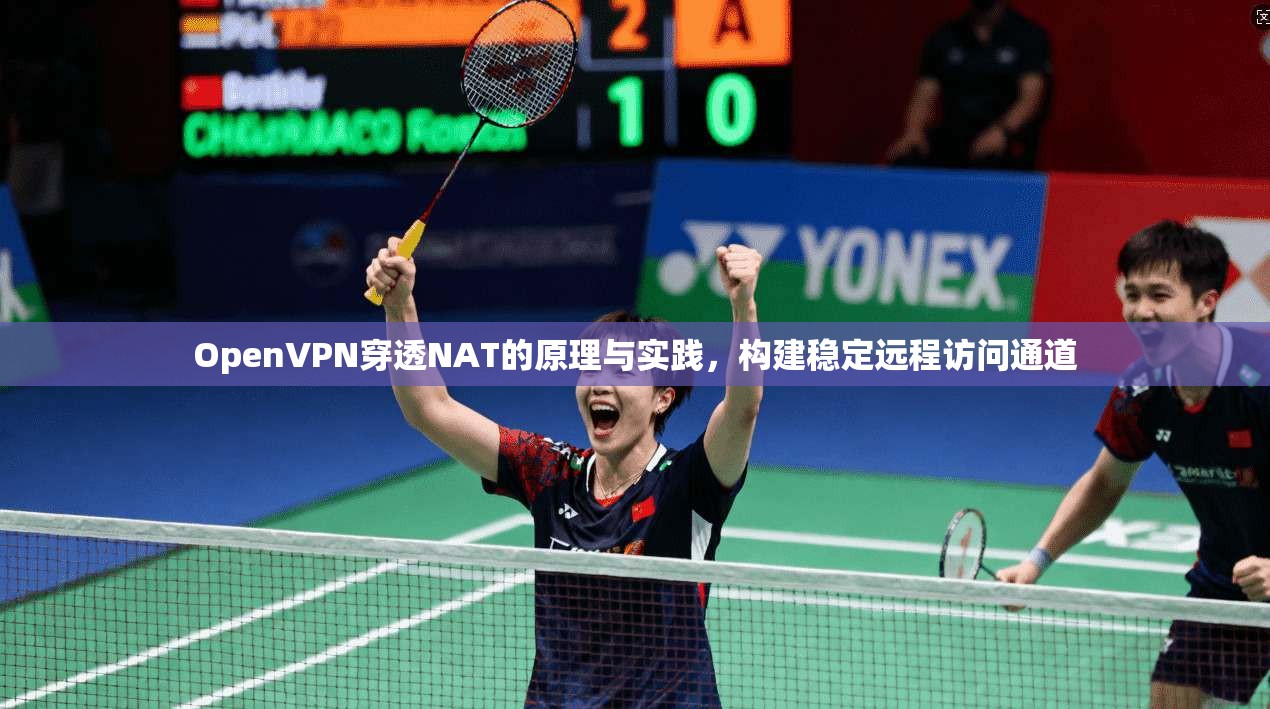 OpenVPN穿透NAT的原理与实践，构建稳定远程访问通道  第1张
