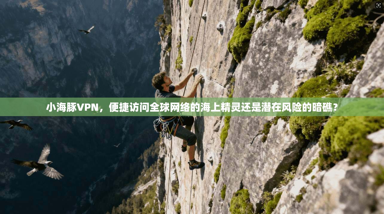 小海豚VPN,便捷访问全球网络的海上精灵还是潜在风险的暗礁? 第1张 小海豚VPN,便捷访问全球网络的海上精灵还是潜在风险的暗礁? 第1张