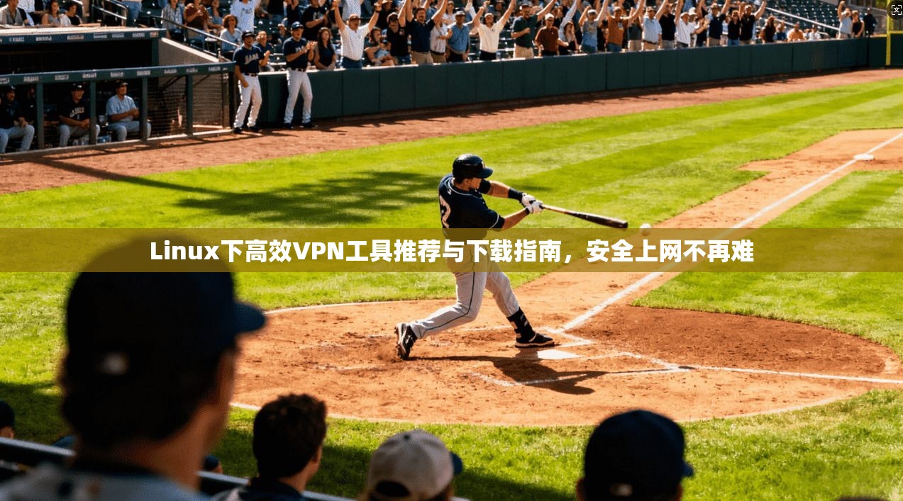 Linux下高效VPN工具推荐与下载指南,安全上网不再难 第1张 Linux下高效VPN工具推荐与下载指南,安全上网不再难 第1张