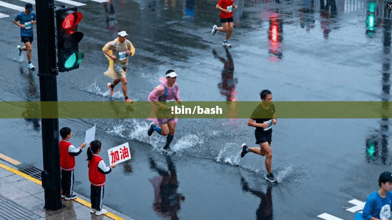 !bin/bash  第1张