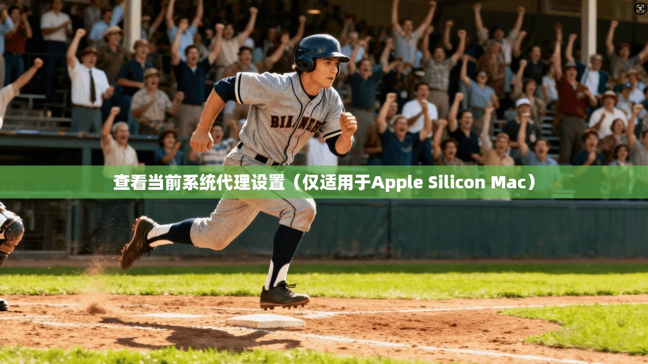 查看当前系统代理设置(仅适用于Apple Silicon Mac) 第1张 查看当前系统代理设置(仅适用于Apple Silicon Mac) 第1张